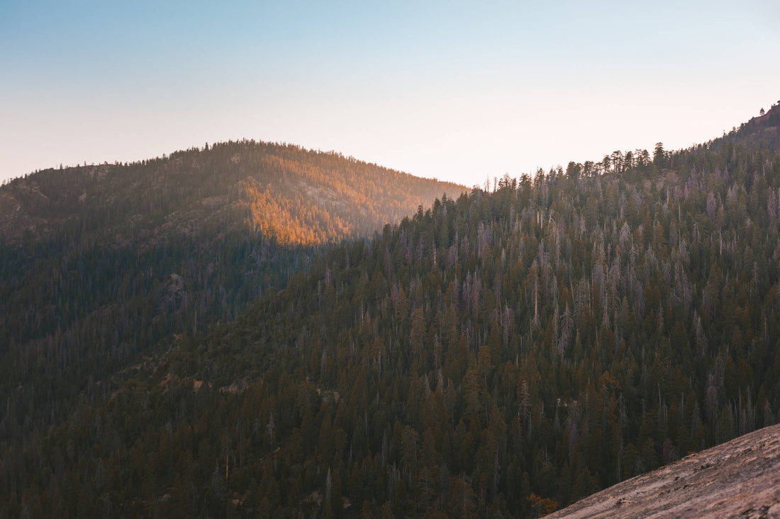 Non-Disposable Day Trips